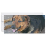 Smiling Dog Personalized Rack Card