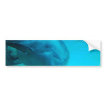 Smiling Dolphin Bumper Sticker
