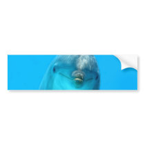 Smiling Dolphin Bumper Sticker