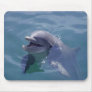 Smiling Dolphin Mouse Mat