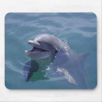 Smiling Dolphin mousepads