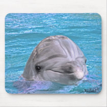 Smiling Dolphin mousepads