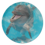 Smiling Dolphin plates