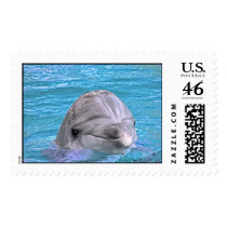 Smiling Dolphin postage