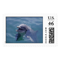 Smiling Dolphin postage by dduhaime55 Smiling Dolphin postage