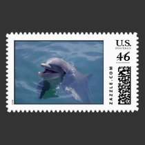 Smiling Dolphin postage