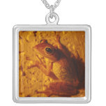 Smiling Frog, Necklace