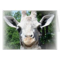 smiling giraffe cards by jdowdell smiling giraffe cards