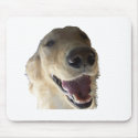 Smiling Golden Retriever Mousepad by cyclegirl Smiling Golden Retriever Mousepad