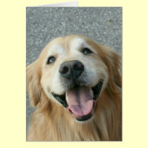Smiling Golden Retriever Thank You cards