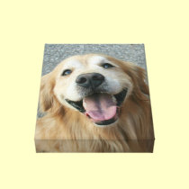 Smiling Golden Retriever Wrapped Canvas Print canvas prints