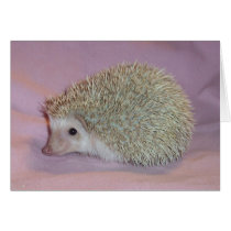 Smiling hedgehog cards by nannyogg Smiling hedgehog cards