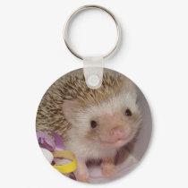 smiling hedgie keychains