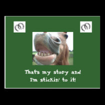 Smiling Horse Postcard postcards