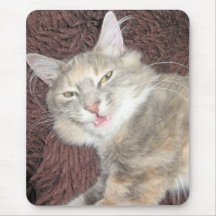 smiling kitty mousepad