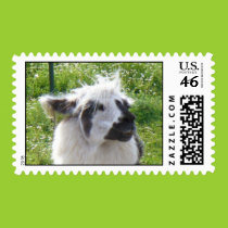Smiling Llama Postage postage