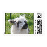 Smiling Llama Postage