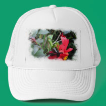 Smiling Mantis ~ hat