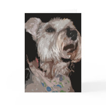 Smiling Miniature Schnauzer cards by Perlyyyy Smiling Miniature Schnauzer cards
