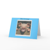 smiling pig how's it going cards by shooshers4 smiling pig how's it going cards