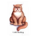 Smiling Poster posters