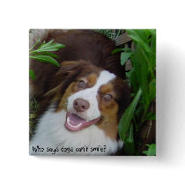 Smiling Red Tri Aussie Buttons