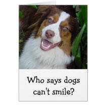 Smiling Red Tri Aussie Greeting Cards