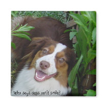 Smiling Red Tri Aussie Magnets