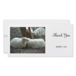 Smiling Sheep Personalized Photo Card