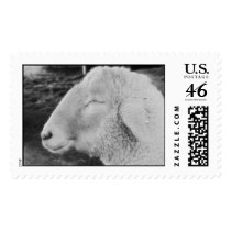 Smiling Sheep stamps