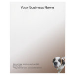 Smiling St Bernard Dog on Brown Gradient Letterhead Design