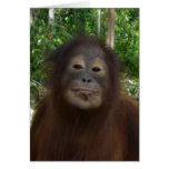 Smiling wildlife card