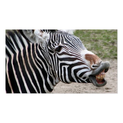 Smiling Zebra Business Card (back side)