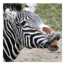 Smiling Zebra Invitations