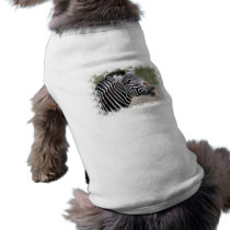 Smiling Zebra Pet Shirt
