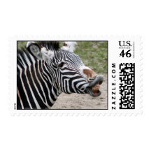Smiling Zebra Postage Stamp