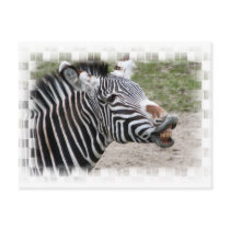 Smiling Zebra Postcard