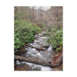 Smith Creek Anna Ruby Falls GA Postcard