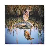 Smith Island (Bird) Magnet