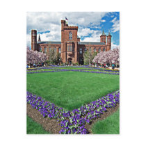 Smithsonian Castle and Haupt Garden Post Cards