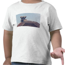 Smoke escaping from active volcano Anak Krakatau Shirt