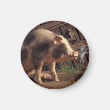 Smoked Ham Magnet