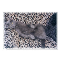 Smokey-Just Chillin' posters by EarthlyElements Smokey-Just Chillin' posters