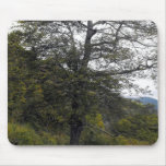 Smokey Mountain Tree Mousepads Smokey Mountain Tree Mousepads