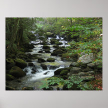 Smokey Mountains Print