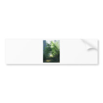 Smokey Paths Trails Forests Woods bumper stickers