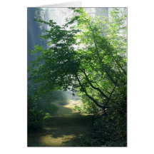 Smokey Paths Trails Forests Woods Greeting Cards