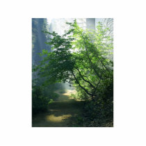Smokey Paths Trails Forests Woods photo sculptures by lifesphere Smokey Paths Trails Forests Woods photo sculptures