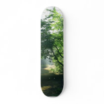 Smokey Paths Trails Forests Woods skateboards
