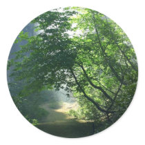 Smokey Paths Trails Forests Woods stickers by lifesphere Smokey Paths Trails Forests Woods stickers